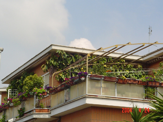 Italians grow vegetables